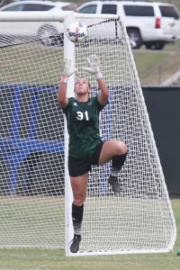 Soccer save in the net