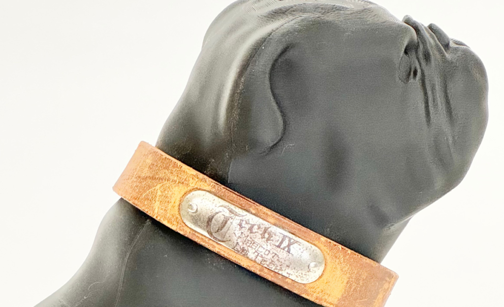 A 3D-printed Bulldog is shown wearing the collar bearing Tech IX name on a metal plate