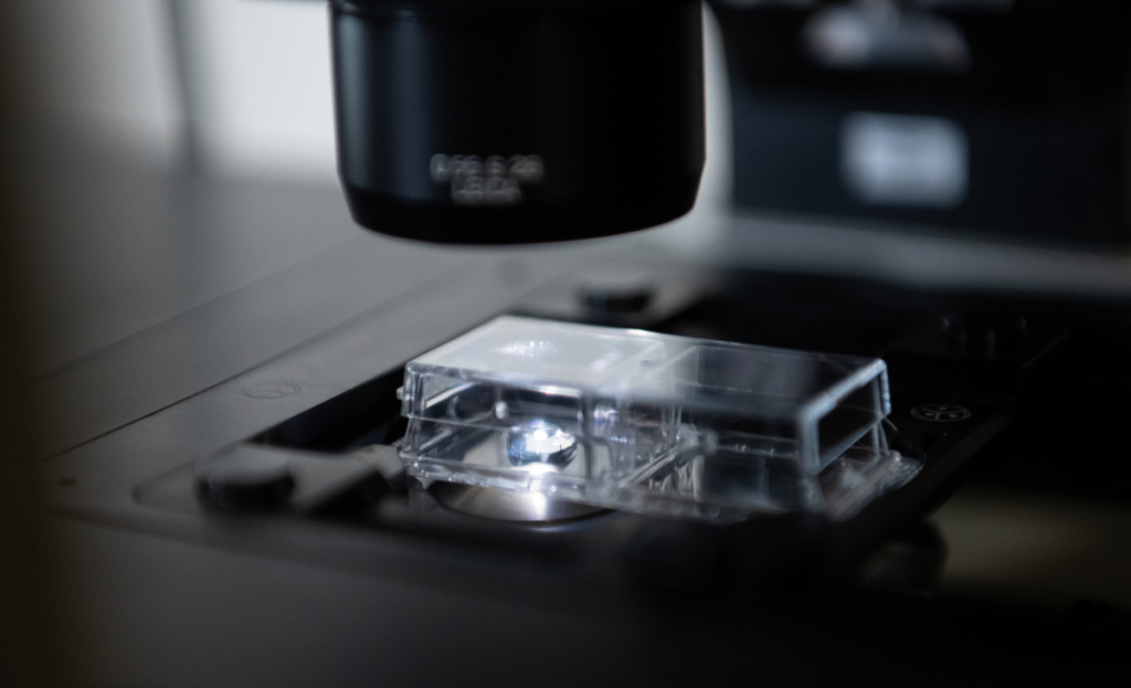 A sample of beads under a microscope.